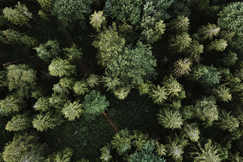 Sustainability