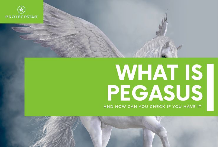 Pegasus: Wer spioniert Sie aus?